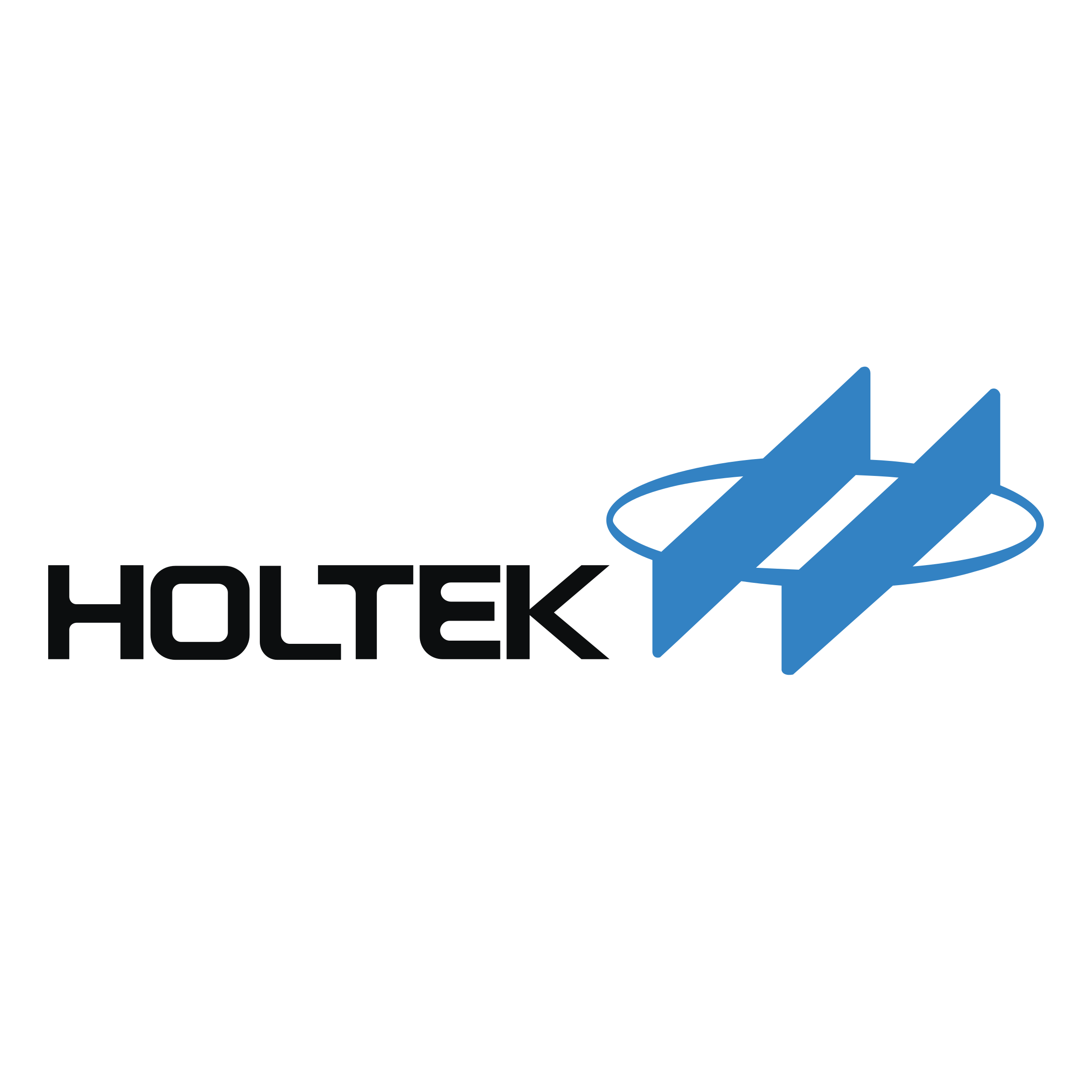 Holtek logo